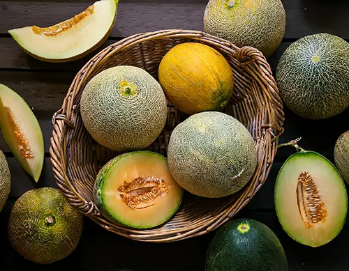 Honeydew