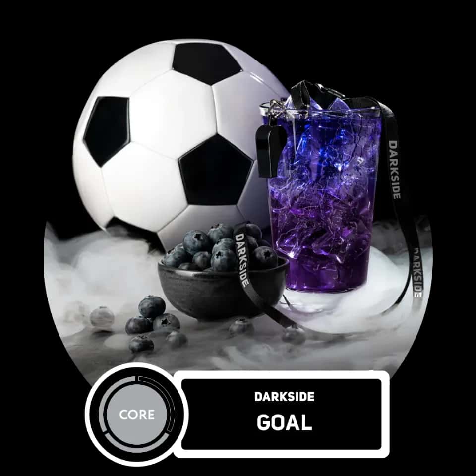 Goal Hero