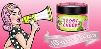 Maridan Logo